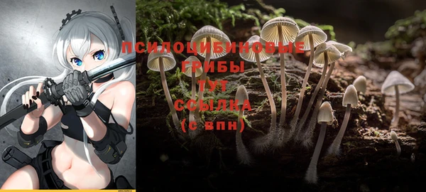 бутик Бородино