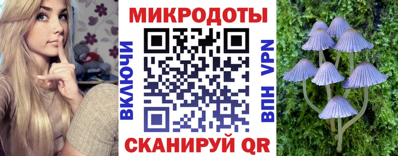 Галлюциногенные грибы Psilocybine cubensis  Трёхгорный 